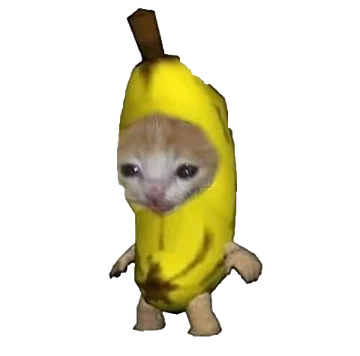 overlay_image